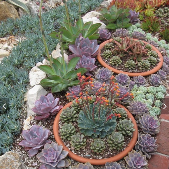 Meet your Posher, Jody - Picture 1 of 1